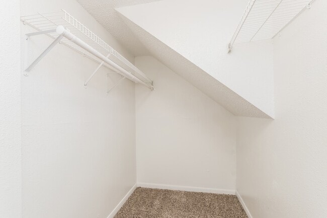 Building Photo - 2503 Silver Trumpet Dr