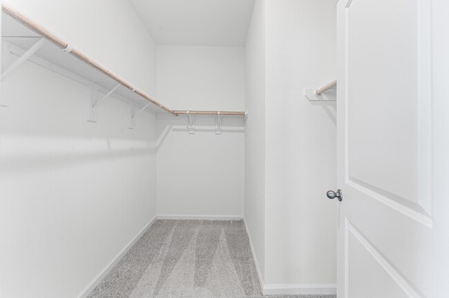 Building Photo - 8742 Vacek Xing Wy