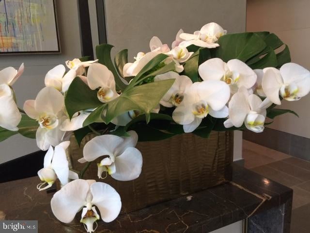 Building Photo - 2501 M St NW