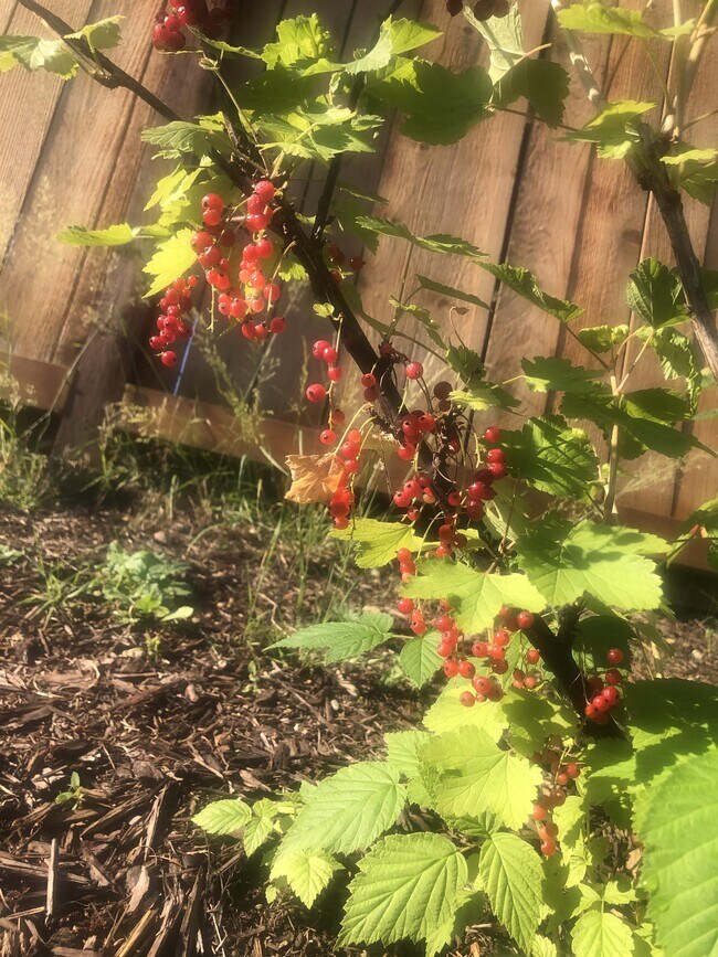 Building Photo - 10620 101st St Ct SW