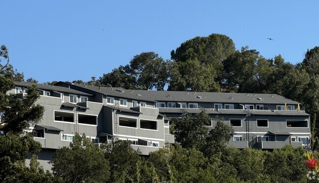 Hill View of Oaktops - The Oaktops Apartments