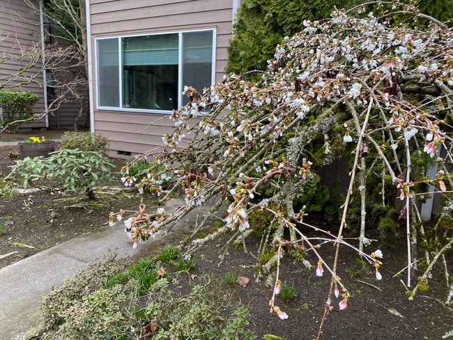 Building Photo - 8407 18th Ave W