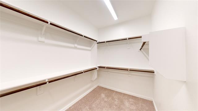 Building Photo - 4007 Blue Stem Blvd