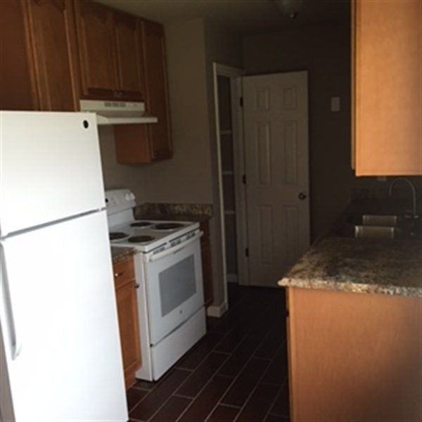 Building Photo - Pine Shadows 1BR/1BA Apartment