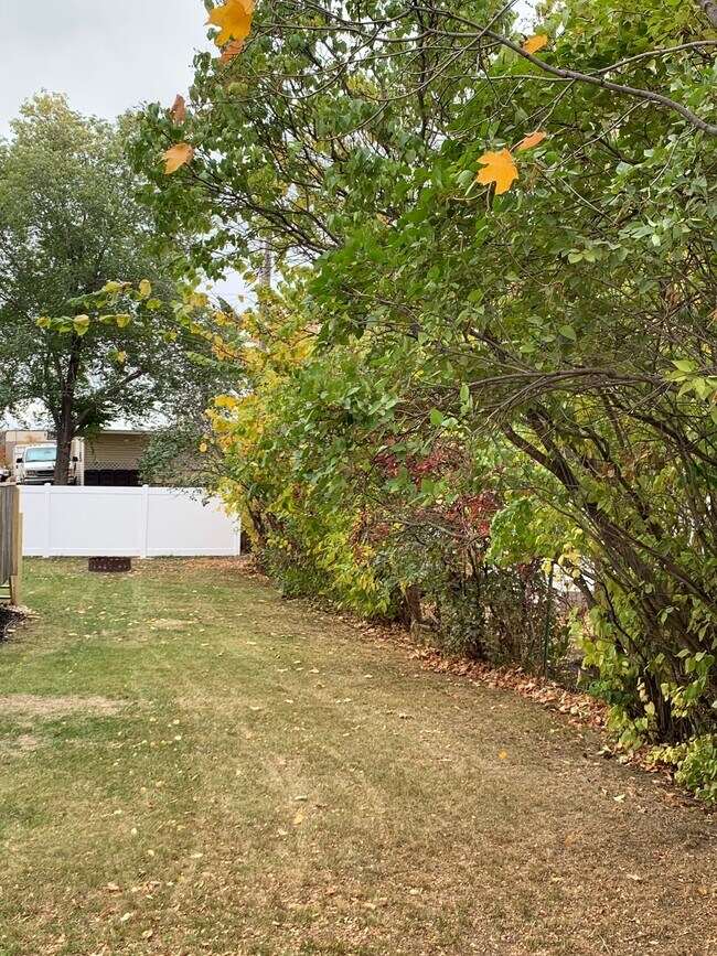 Side Yard - 409 State St E