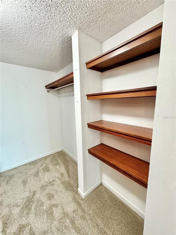 Building Photo - 4620 Bay Blvd