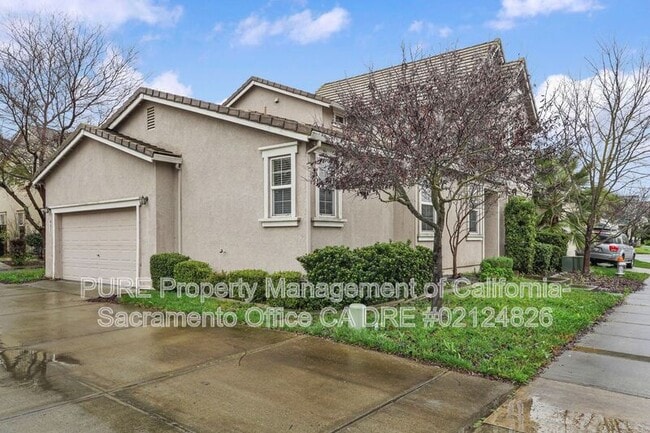 Building Photo - 441 Picasso Cir