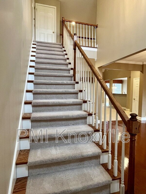 Building Photo - 4601 Ivy Rose Dr