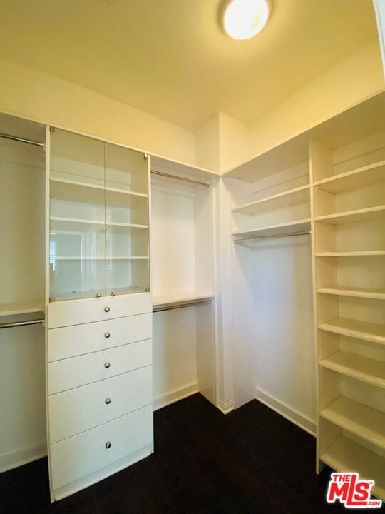 Building Photo - 51 Ivory Petal