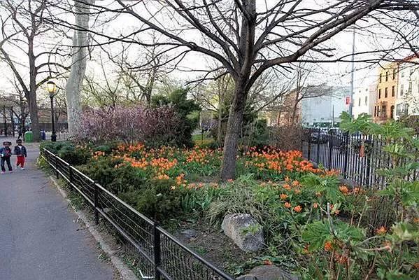 Building Photo - 245 Tompkins Ave