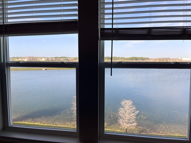 Building Photo - 2345 Summerlit St