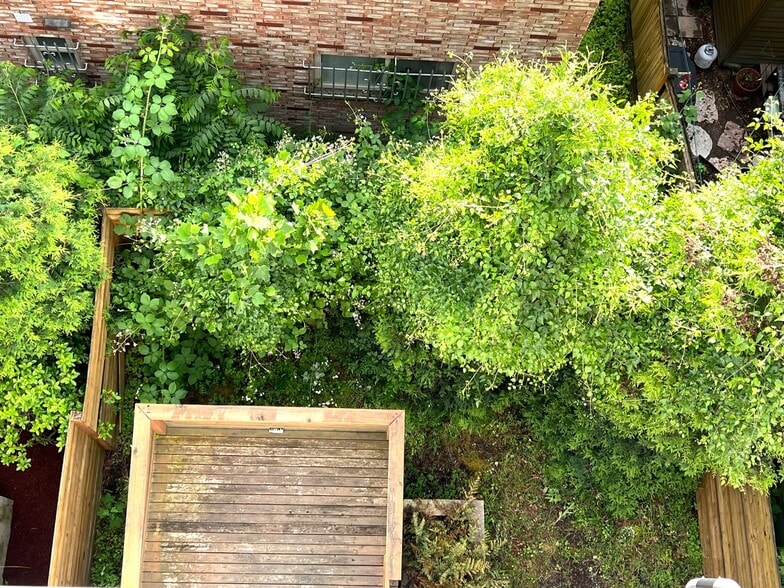 Back deck and private yard - 211 13th Ave E
