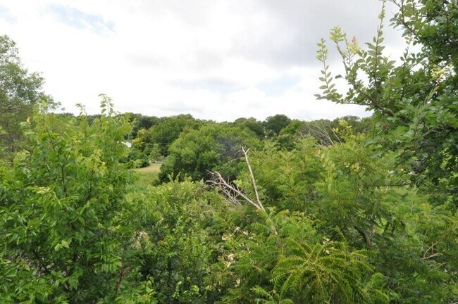 Building Photo - 4010 Shoal Creek Blvd