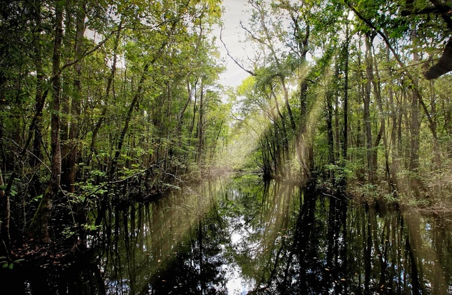 Building Photo - Brand-New Home in The Landing at St. Augustine