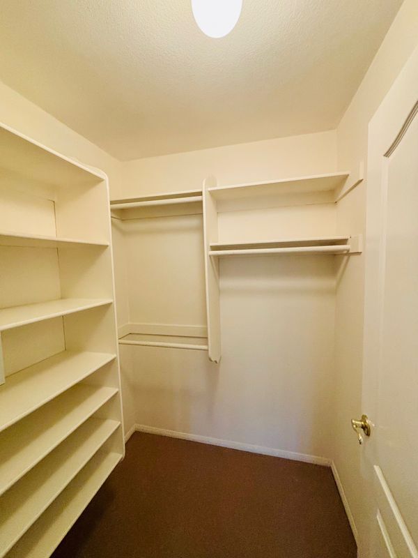 Building Photo - 3108 Tourmaline Ln