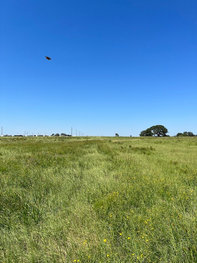 Building Photo - 1396 Texas 181 Loop, Unit 1