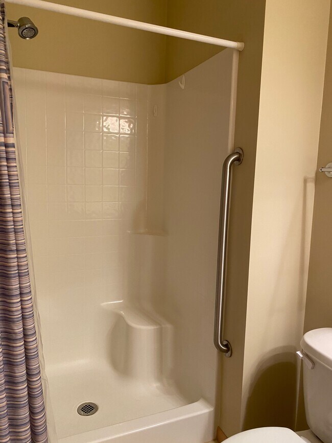 Shower Bathroom - 3251 Louisiana Ave S