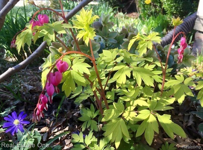 Building Photo - 5837 Folkstone Dr