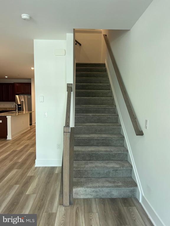 Building Photo - 10106 Donatello Dr