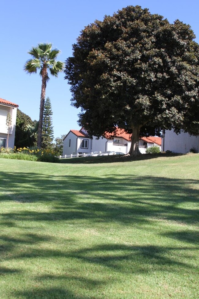 Building Photo - 2 Bed - 2.5 Bath - Condo - Ocean View - St...