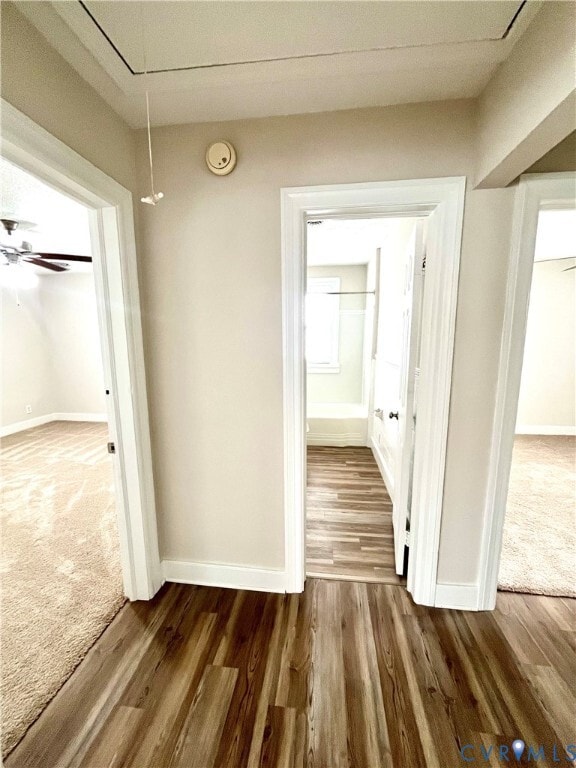 Building Photo - 2313 Greenway Ave