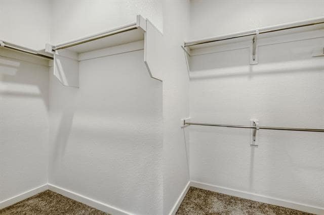 Building Photo - 3947 Rochelle Ln