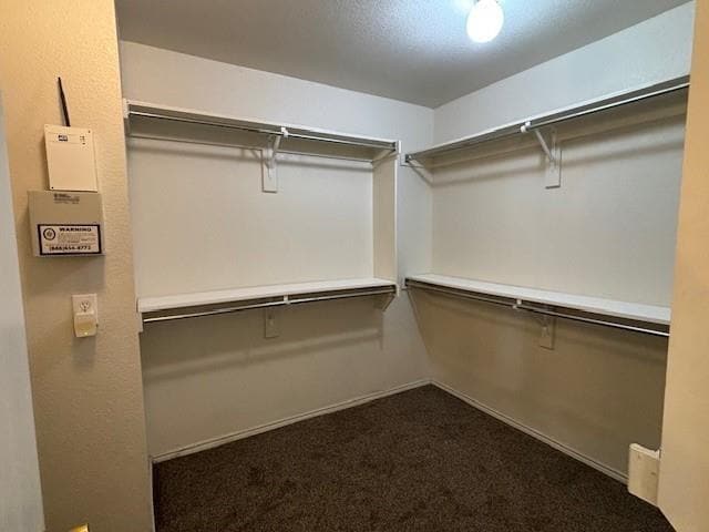 Building Photo - 2316 Penton Way