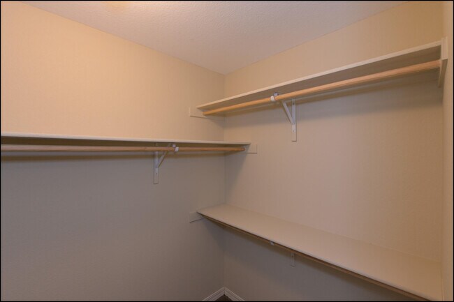 Building Photo - 3131 Red Orchard Dr