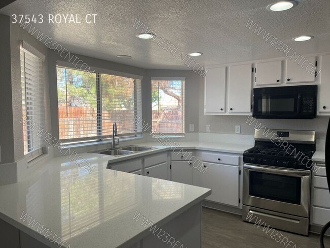 Building Photo - 37543 Royal Ct