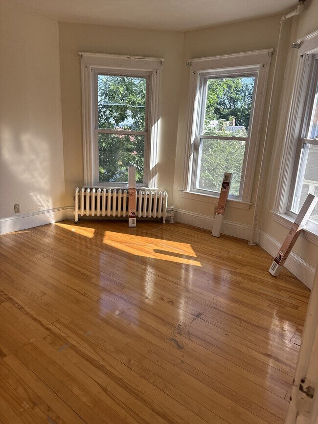 Building Photo - 40 Orne St