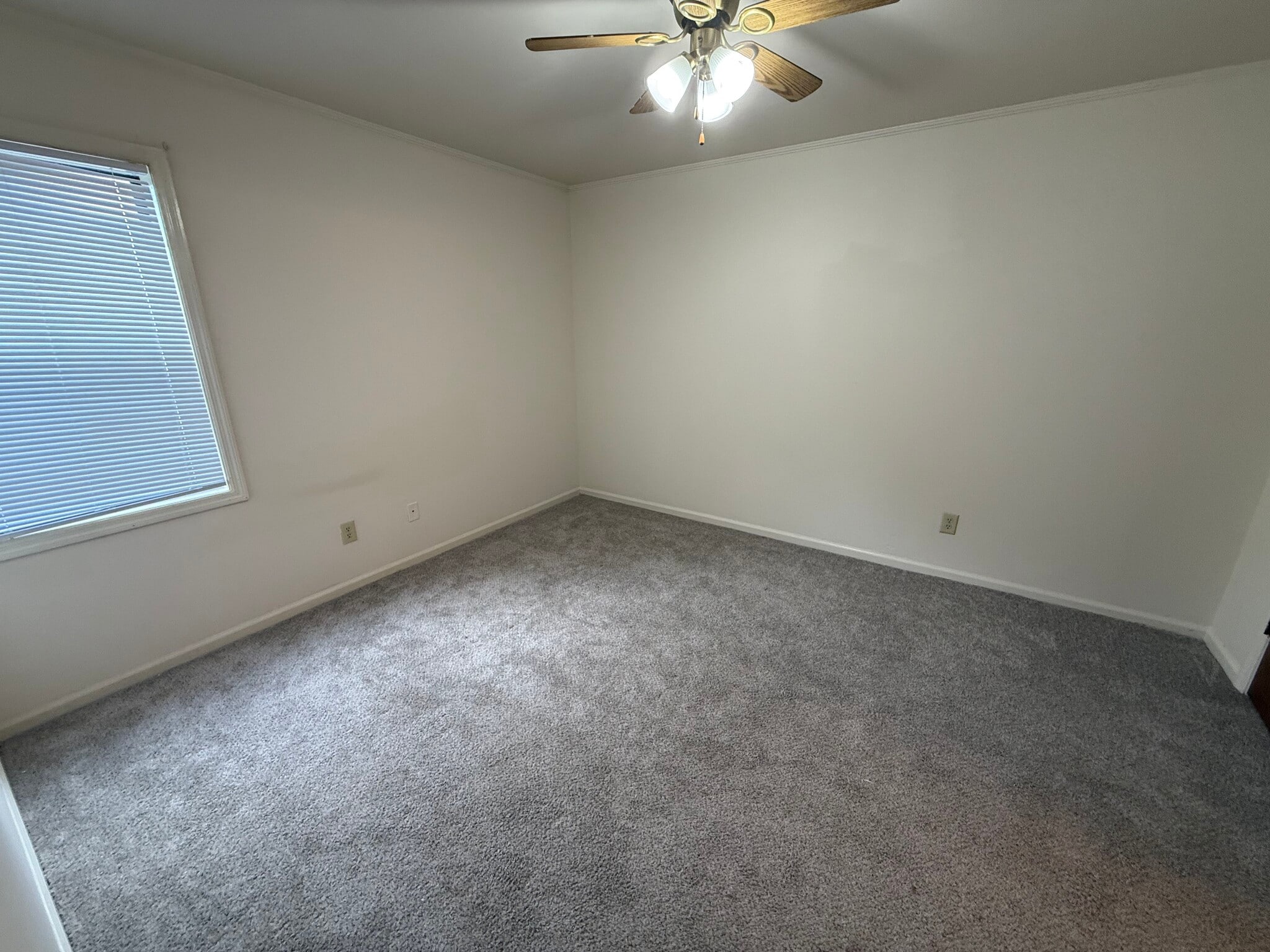 Building Photo - 586 Franklin St