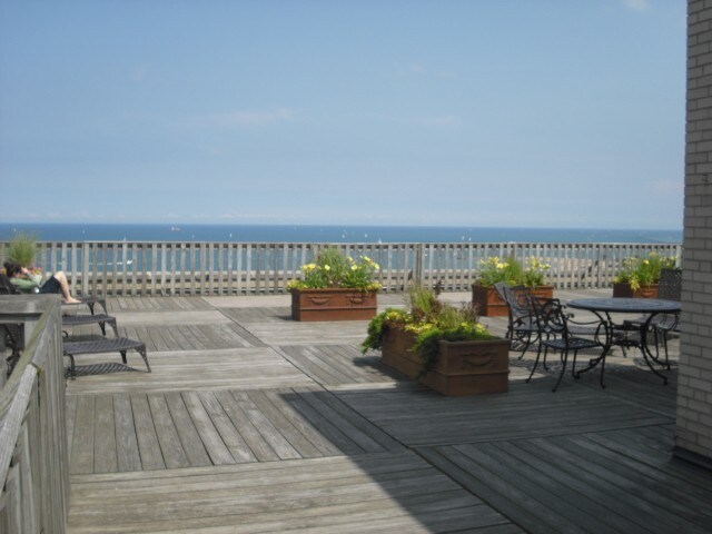 Rooftop Deck view - 2000 N Lincoln Park W