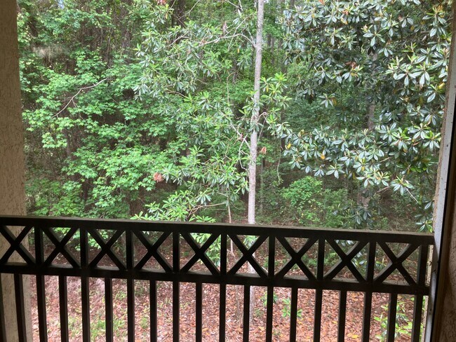 Building Photo - 3 BR / 2 BA at the Preserve