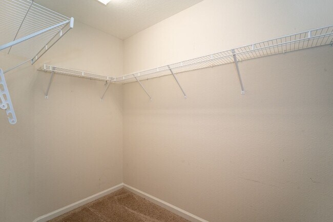 Building Photo - Castine Cove 3/2 Single Family Home