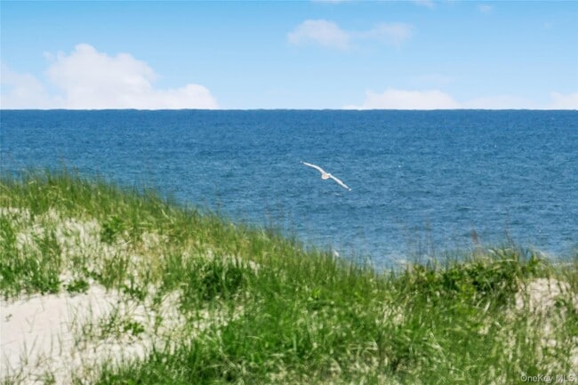 Building Photo - 846 Dune Rd