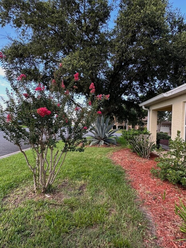 Building Photo - 9706 SW 92nd Place Rd