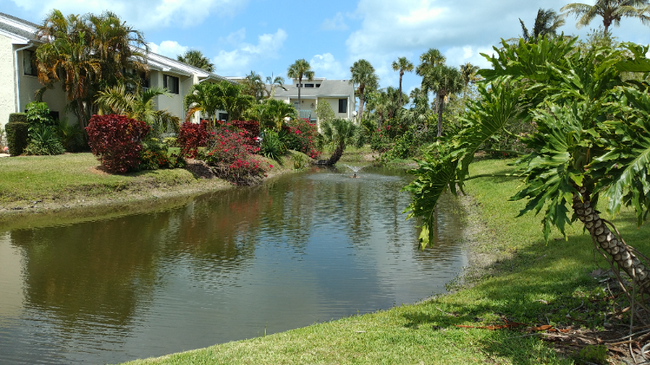 Building Photo - 2400 S Ocean Dr