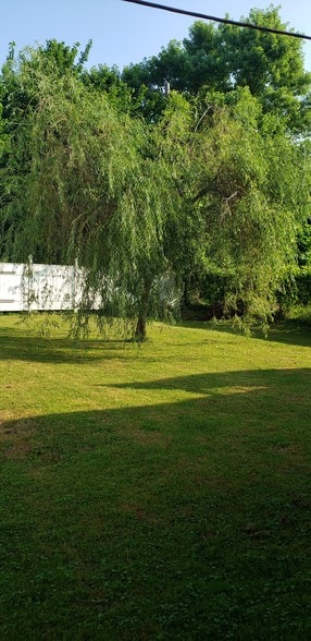 Back Yard Area - 619 Maryland Ave