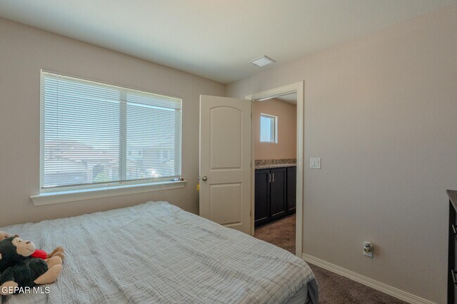 Building Photo - 305 Del Palmar