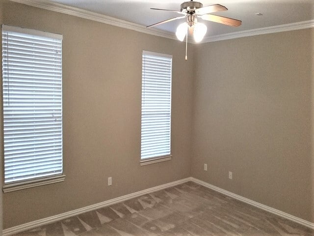 Building Photo - 8612 Newman Drive