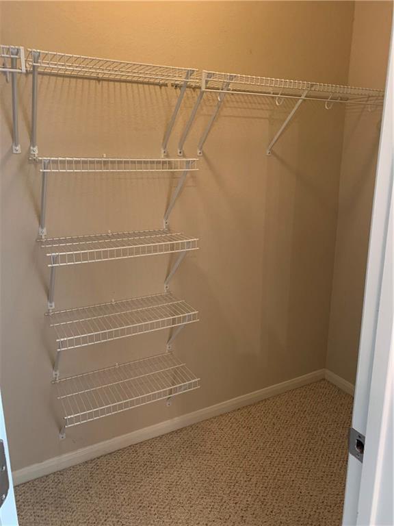 Building Photo - 1118 Boxwood Loop