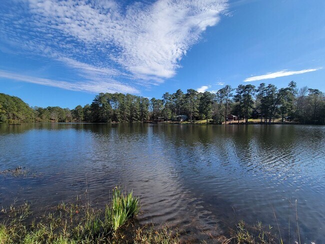 Building Photo - Escape to your updated 3-bed, 2-bath oasis in Goodrich, TX, featuring modern finishes, an open la...