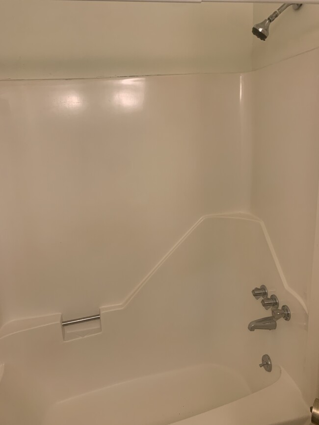 Guest Tub and Shower - 1736 Springwoods Lake Dr