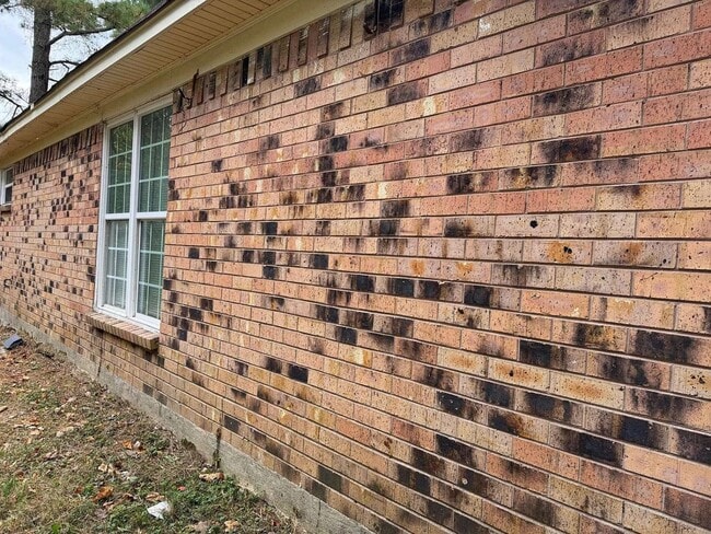 Building Photo - 5144 Blacksmith Dr