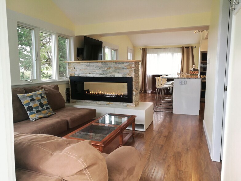 Living room, Fireplace and Swivel TV - 99 New York St