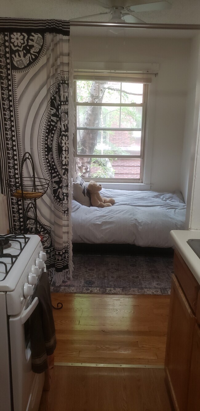 Building Photo - 519 W Brompton Ave