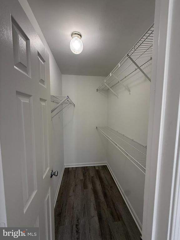 Building Photo - 105 Knollwood Ct