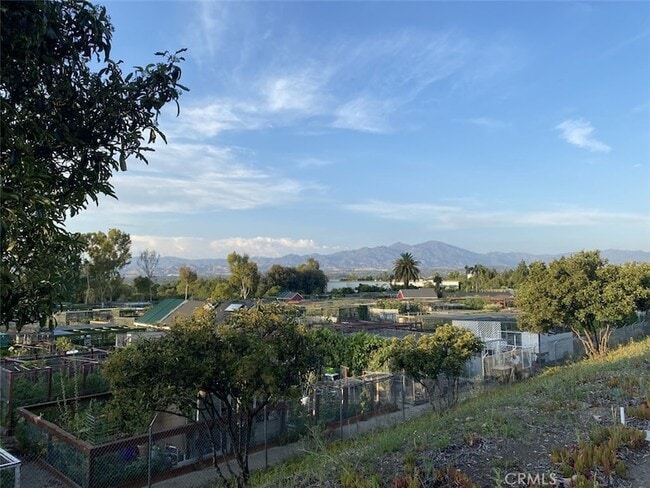 Building Photo - 3241 San Amadeo