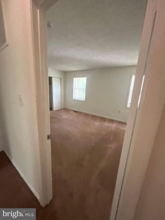 Building Photo - 12809 Cheval Ct