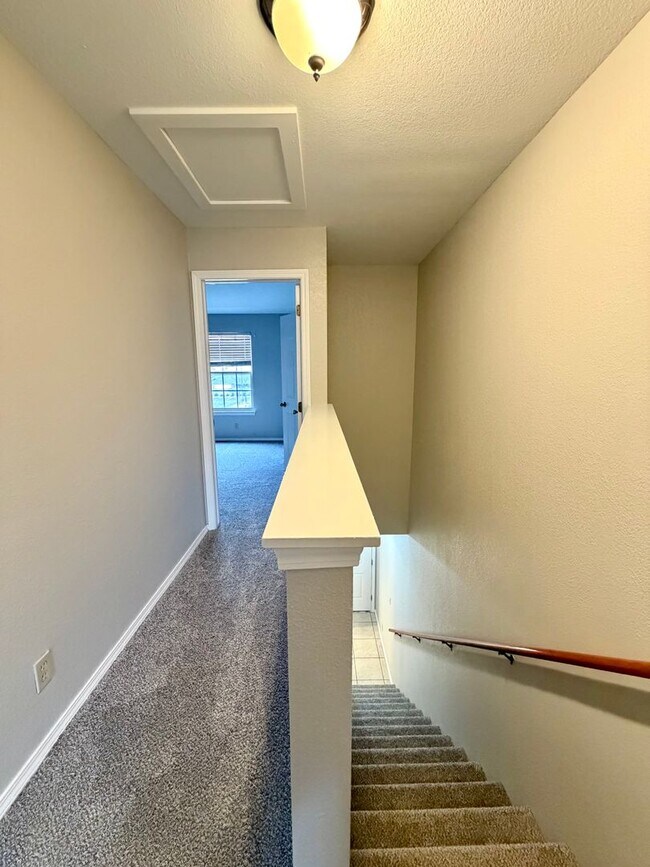 Building Photo - C Street Flats